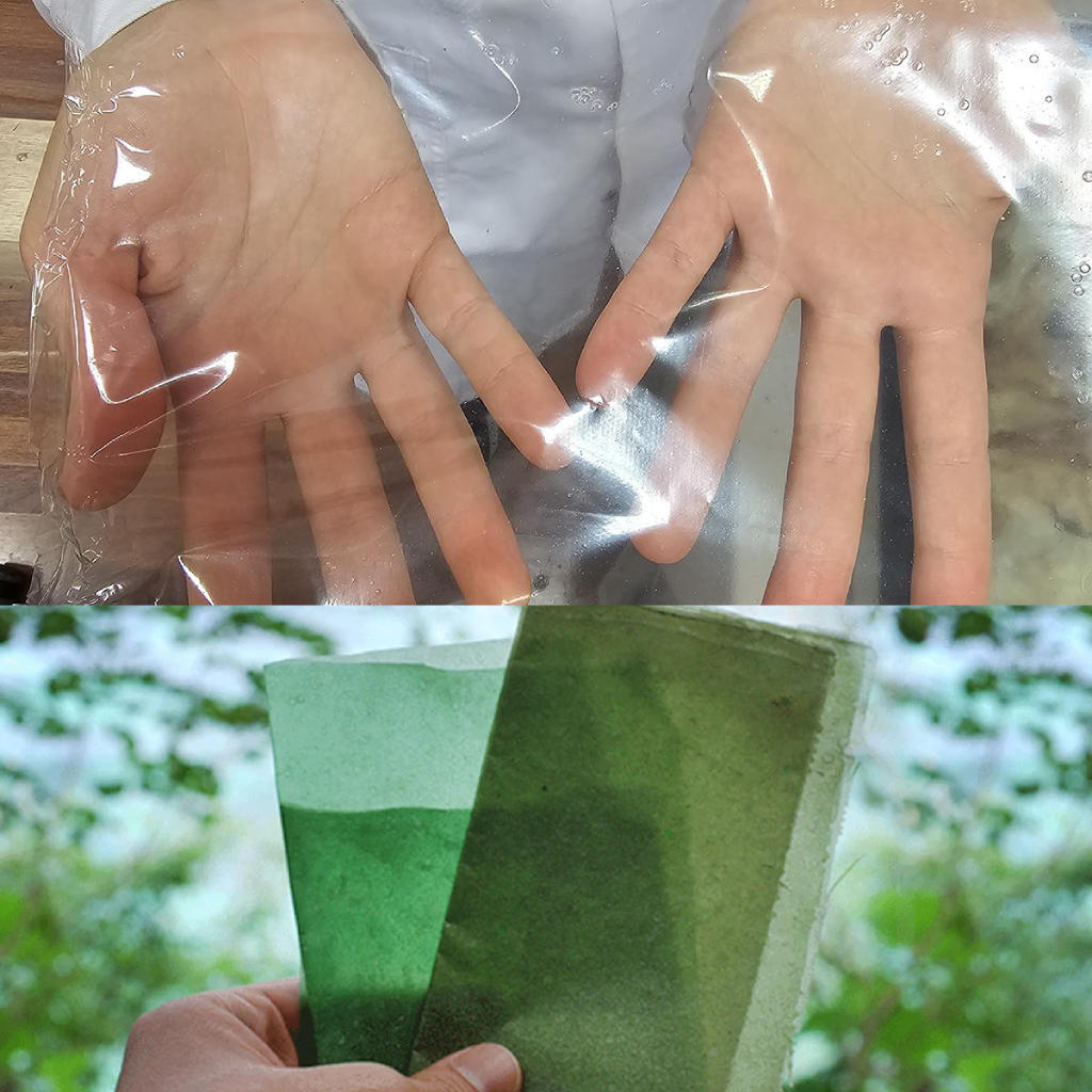 Seaweed substitute plan
